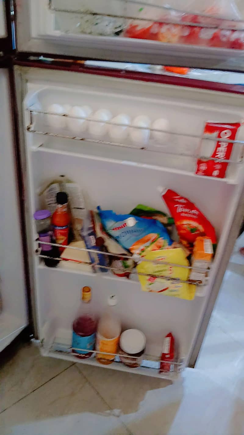 fridge 3