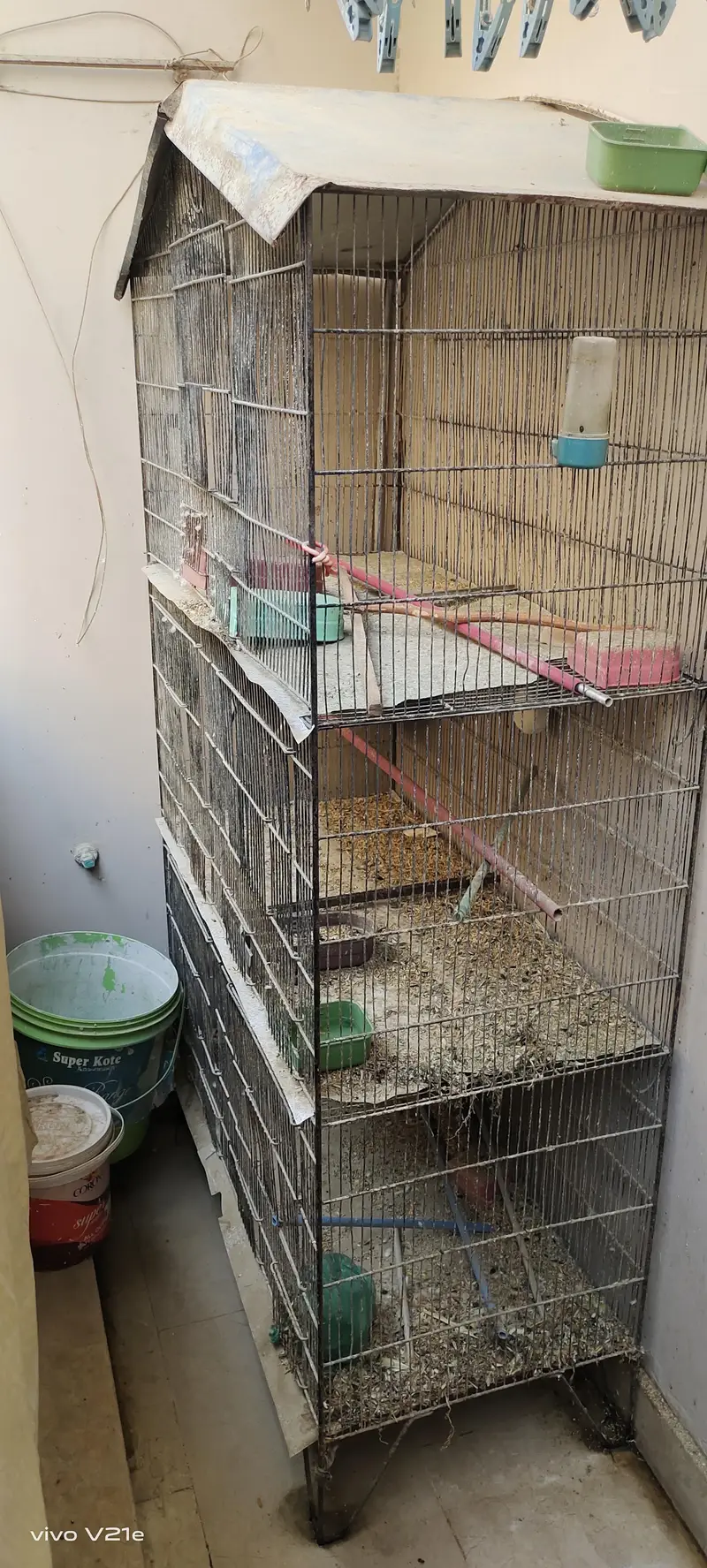 cage with Australian budgies 03453100040 — photo 3