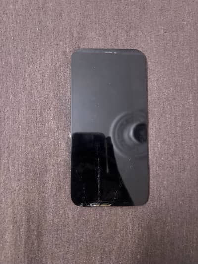 Iphone 12 pro max panels