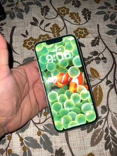 Apple iPhone 13