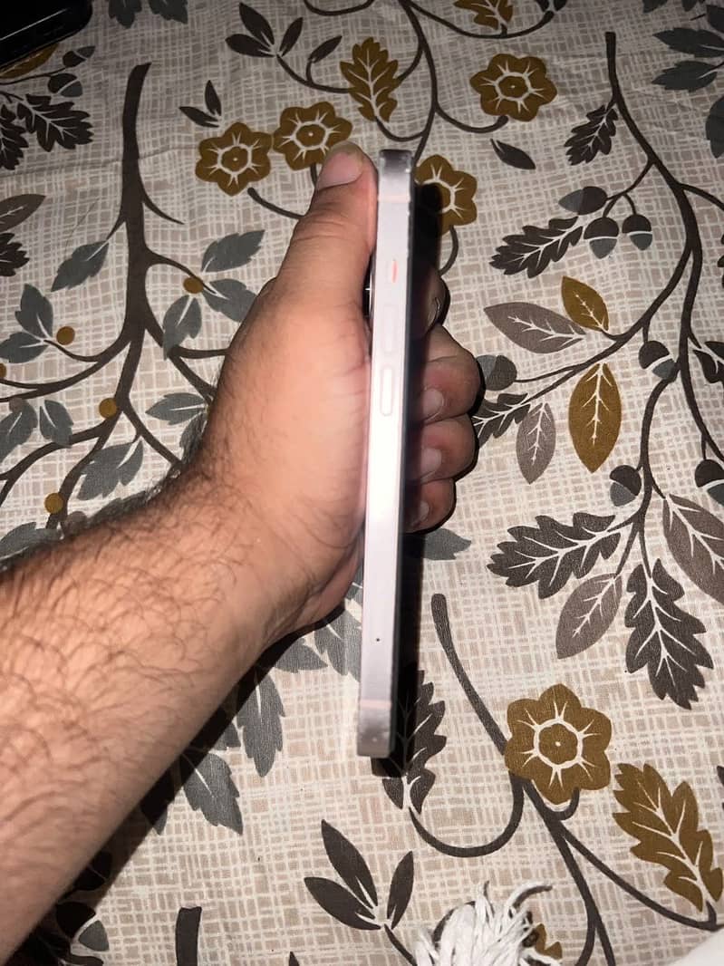 Apple iPhone 13 2