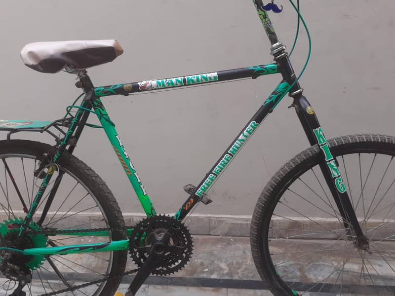 Modified bicycle 4