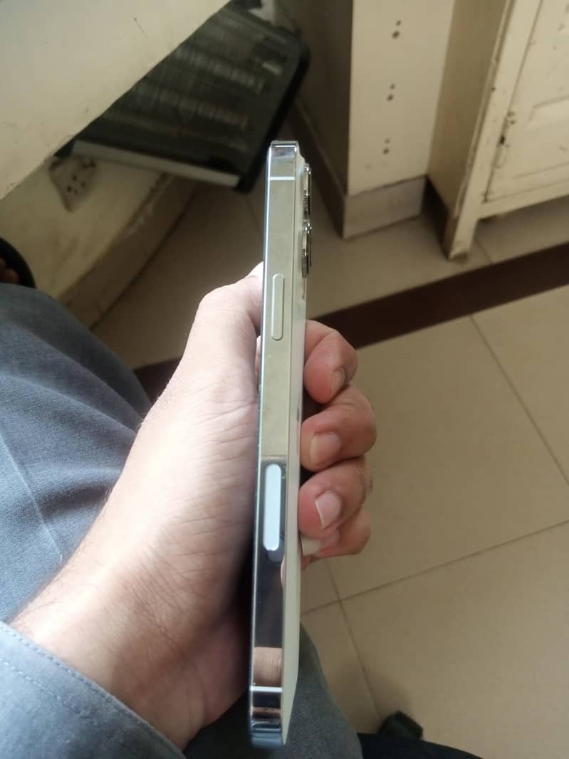 Apple iPhone 13 Pro Max 1