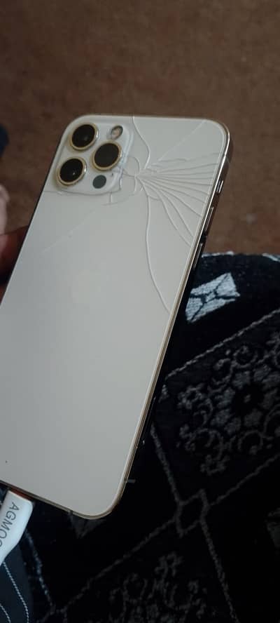 12pro