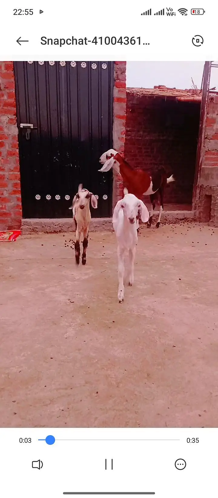2 babys female