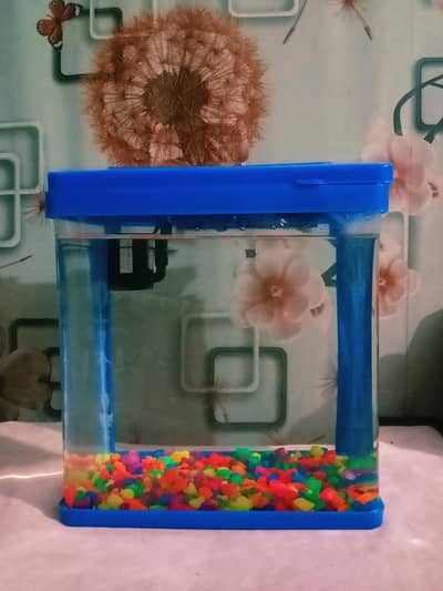 aquarium
