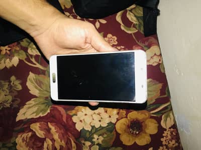 Samsung Mobile C5