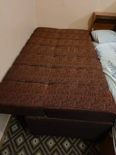 Sofa Cum Bed with 2 Cushions
