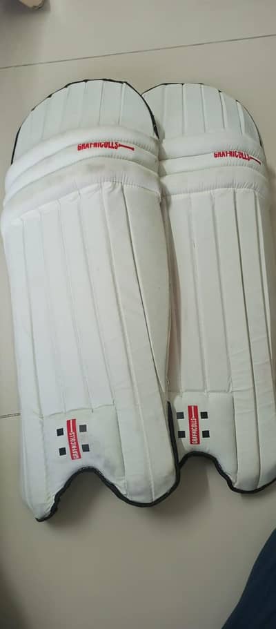 Cricket kit