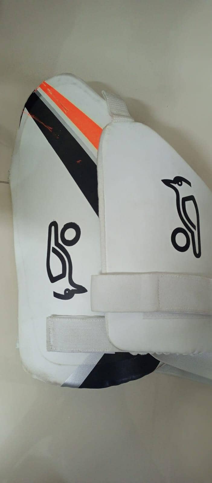 Cricket kit 2