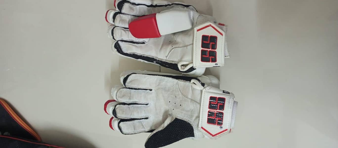 Cricket kit 5
