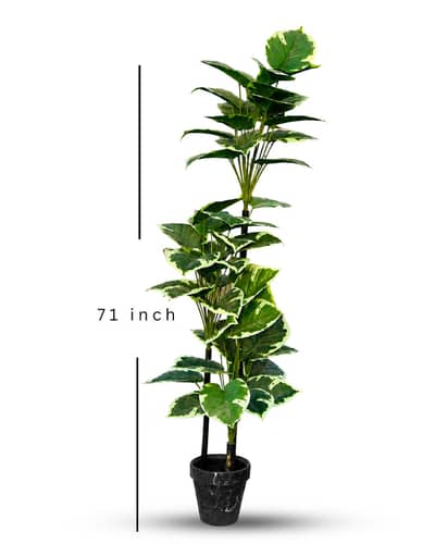 Large planter 