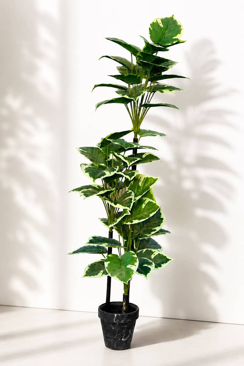 Large planter  1