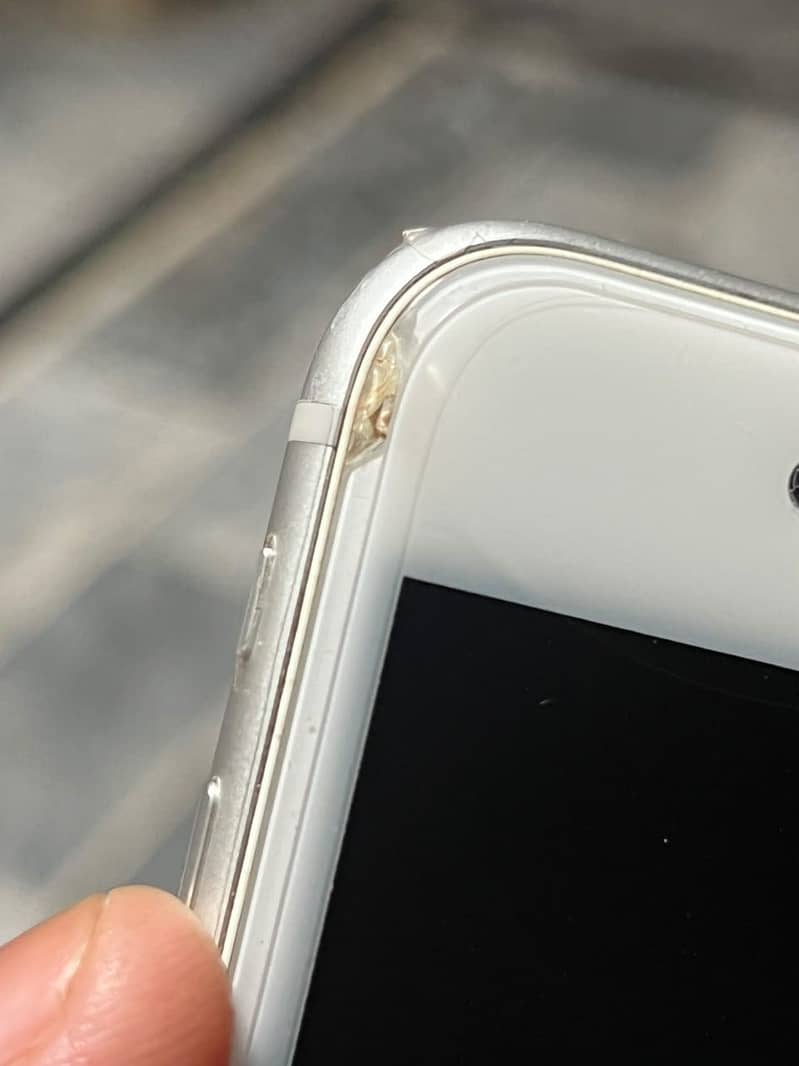 Apple iPhone 8 Plus 3