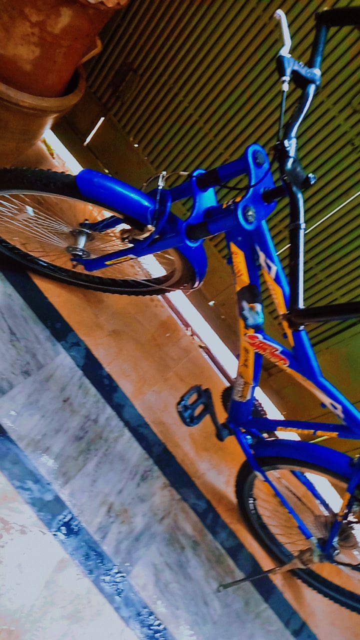 bicycle 1