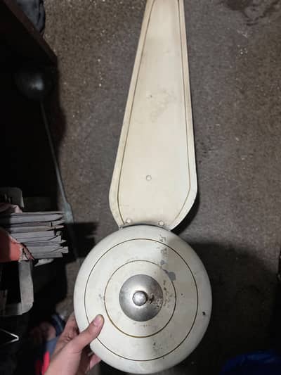 CIELING FAN FOR SALE