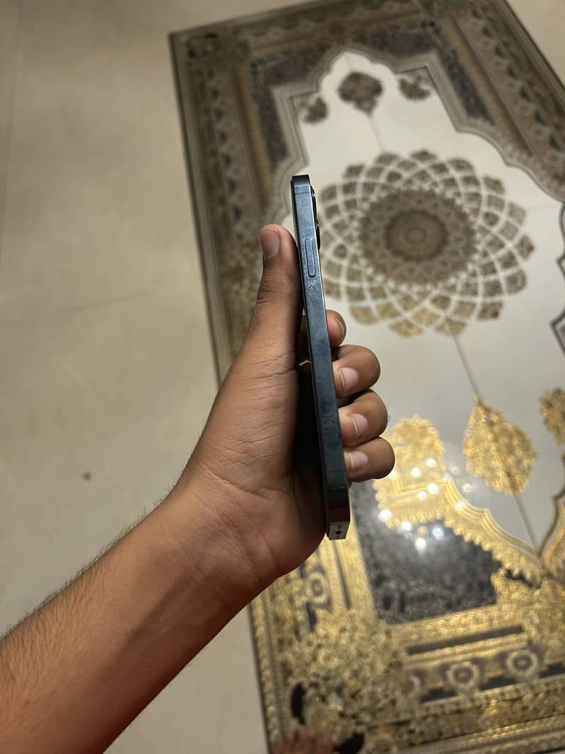 12 pro 3