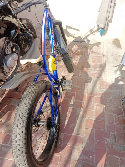 Fat Tyres Bycle