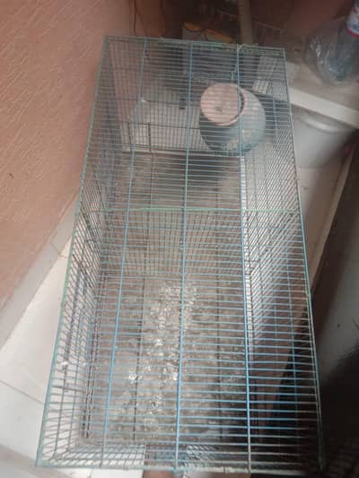 Cage For Sale