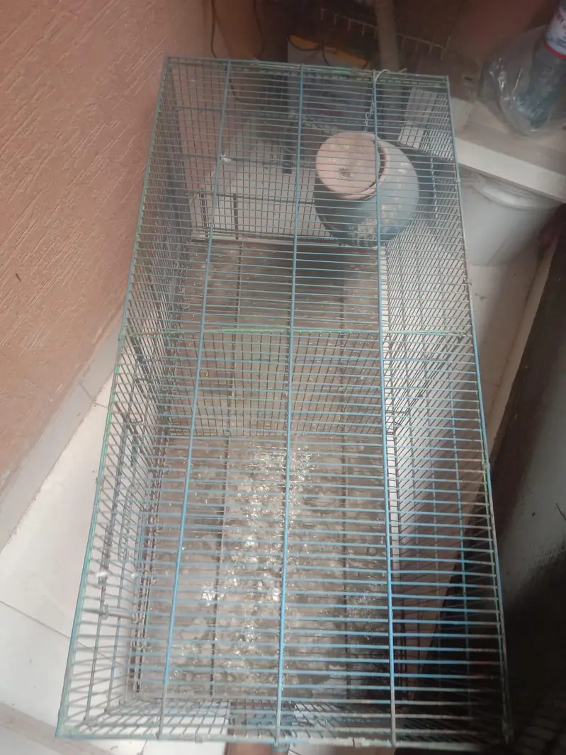 Cage For Sale — photo 2