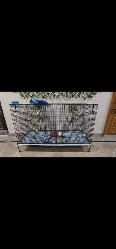 iron cage Folding