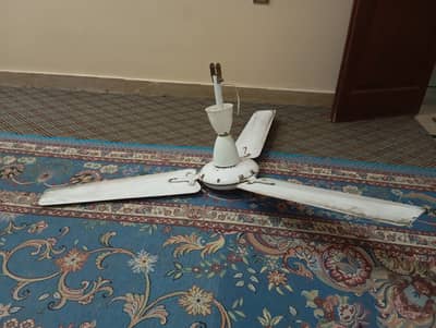 GFC 100 percent copper fresh ceiling fan running perfect 2019