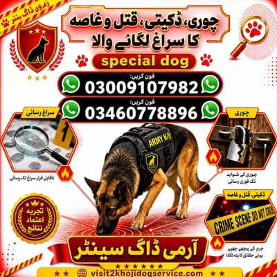 khoji Dog Center
