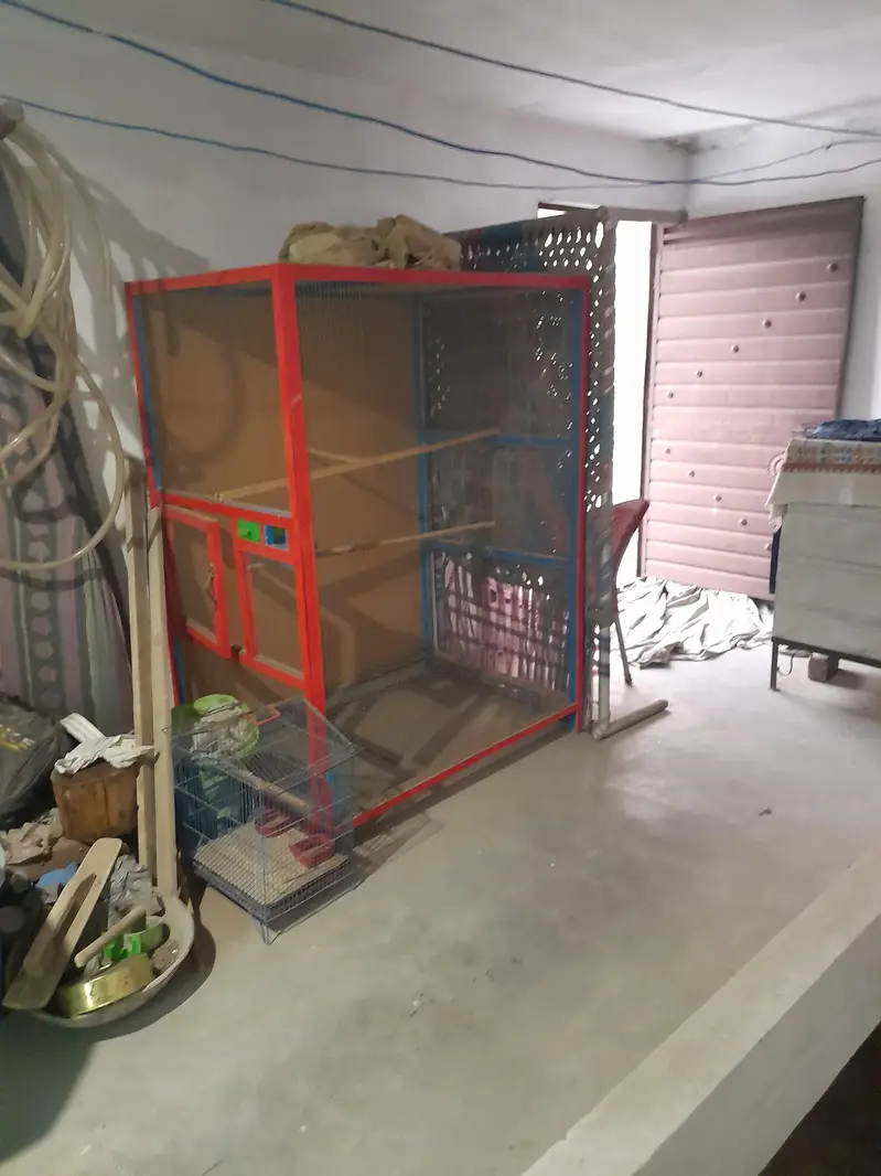 Animal Birds Wood Cage — photo 2