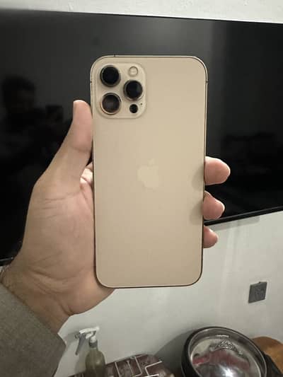 Apple iPhone 12 Pro Max
