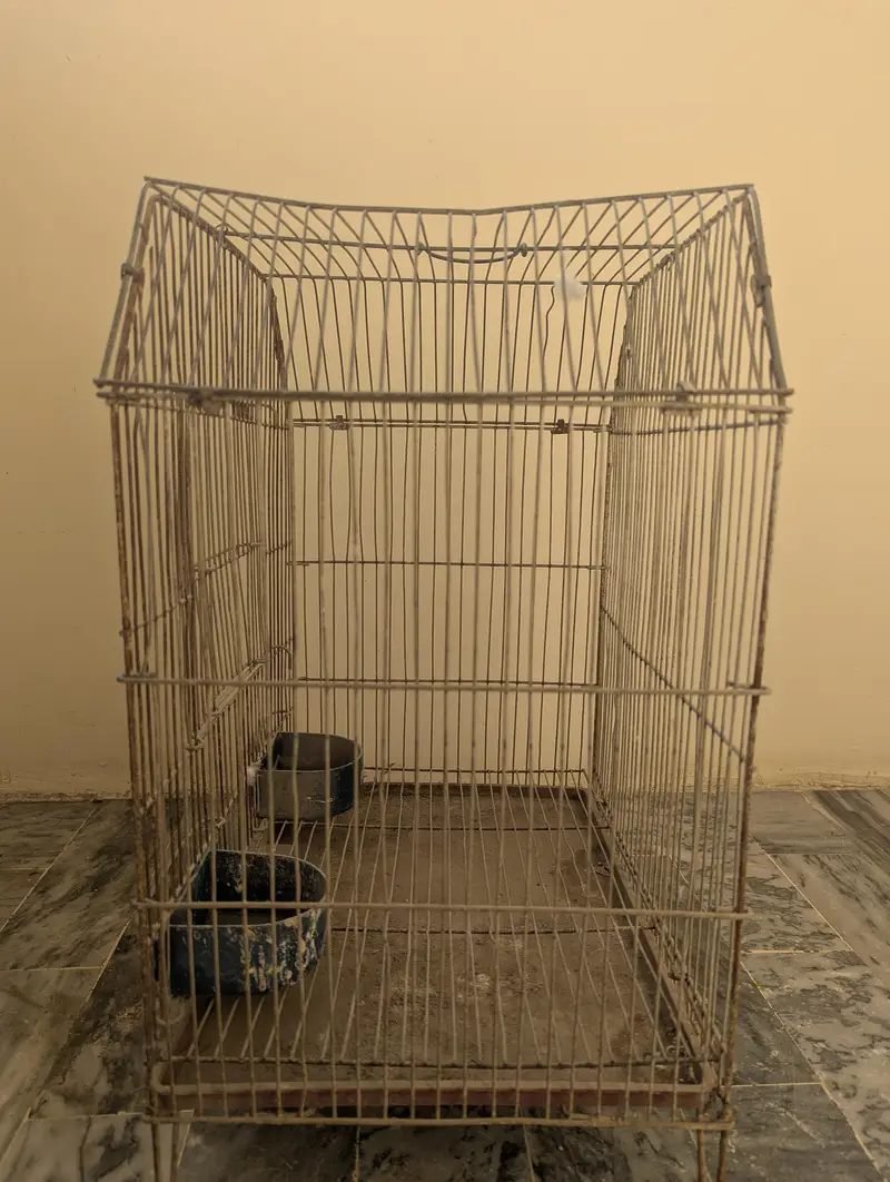 Birds Cage in reasonable Price (Negotiable) — photo 2