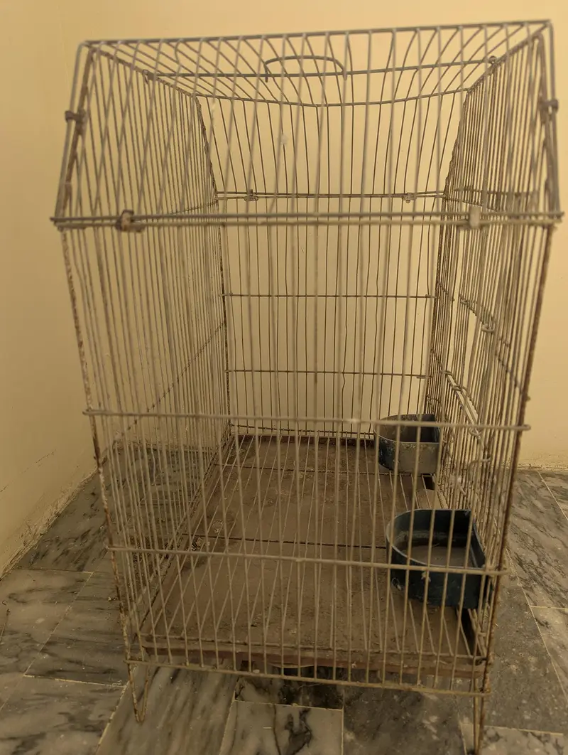 Birds Cage in reasonable Price (Negotiable) — photo 3
