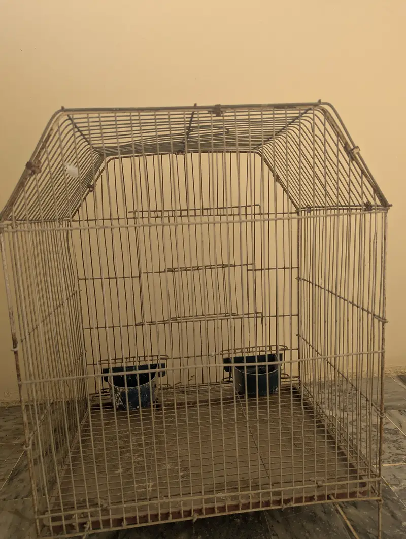 Birds Cage in reasonable Price (Negotiable) — photo 4