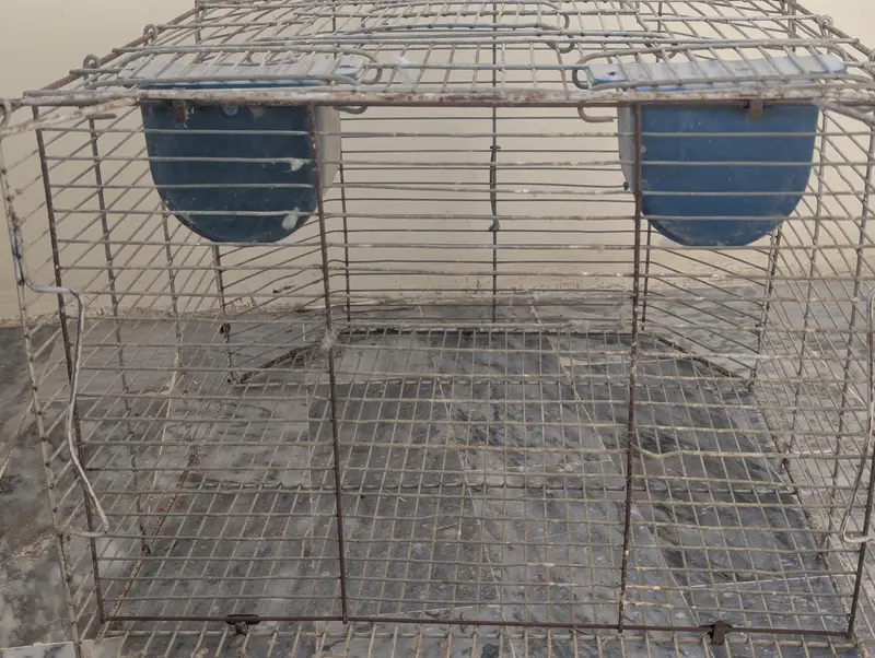 Birds Cage in reasonable Price (Negotiable) — photo 6