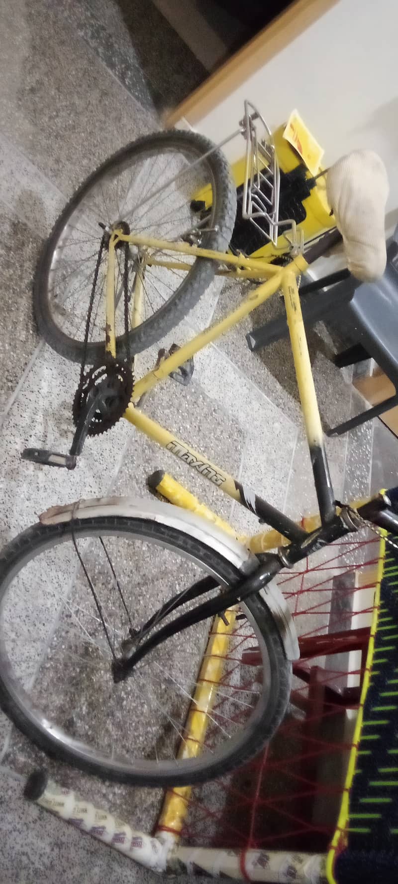Phonix cycle 1