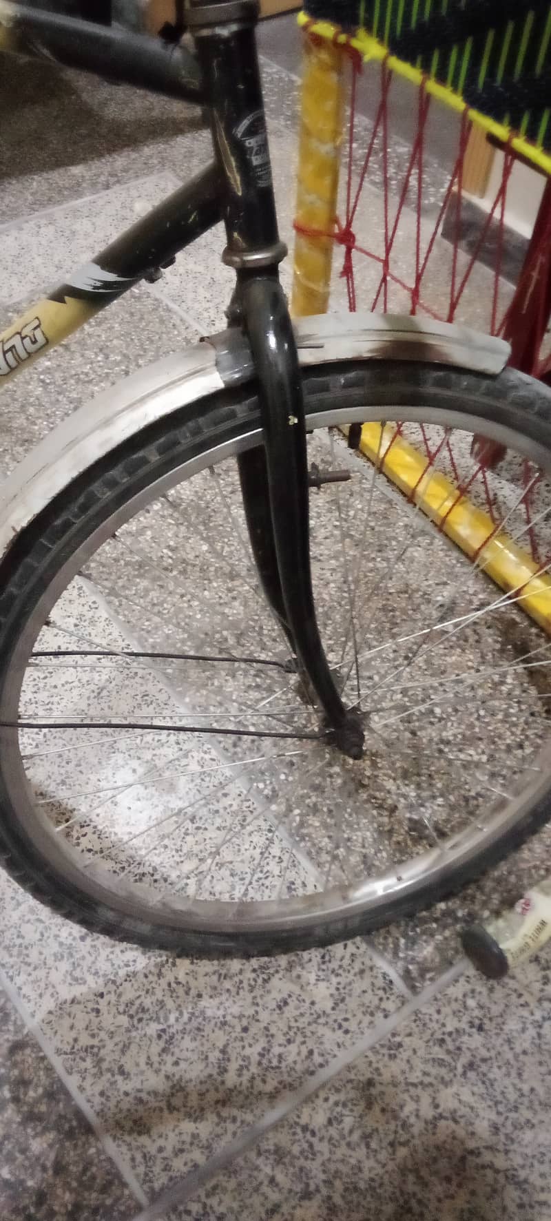 Phonix cycle 2