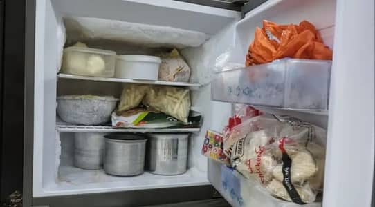 Hair Inverter Fridge