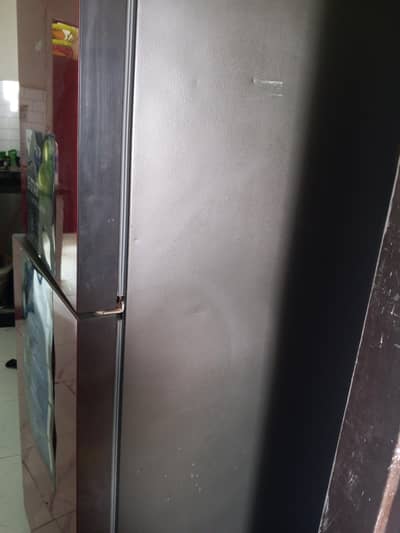 fresh condition
