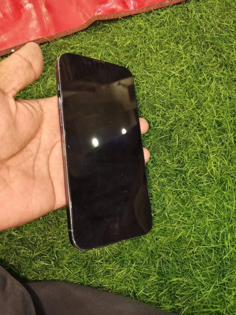 Apple iPhone 13 Pro Max 1