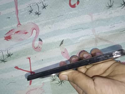 OPPO Reno f12