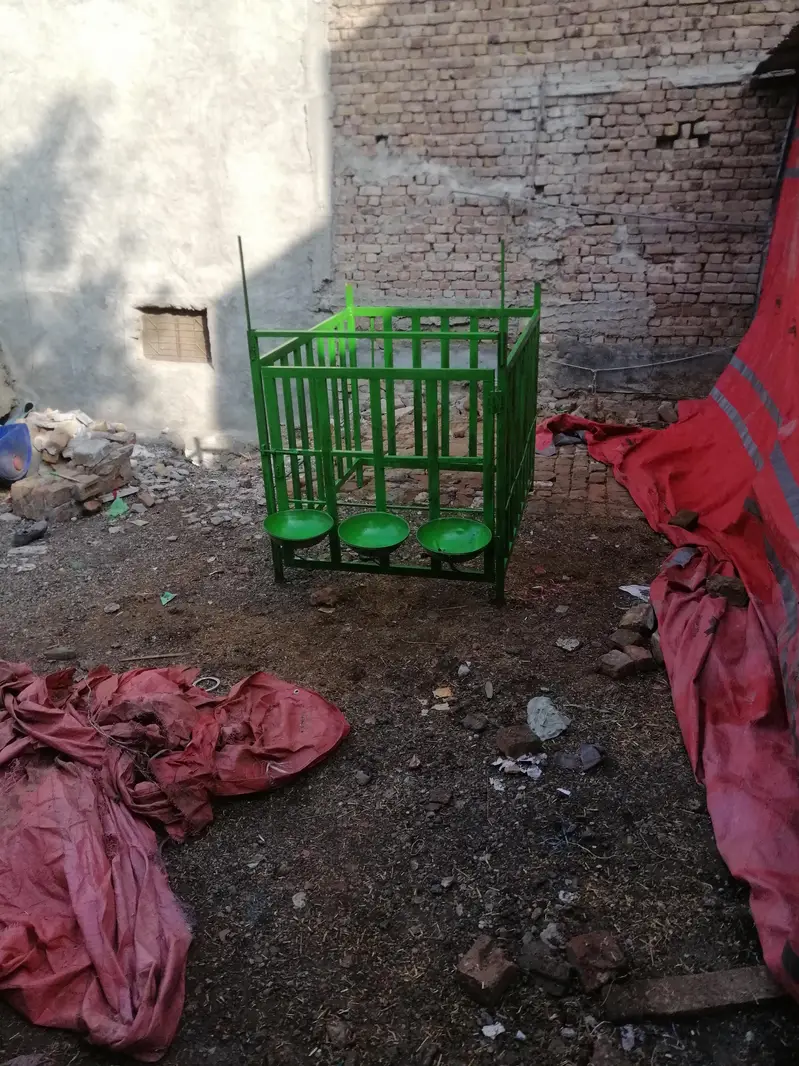 calf cage for sale — photo 5