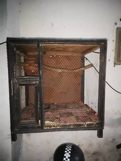 CHANCE WALA CAGE
