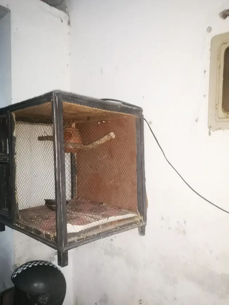 CHANCE WALA CAGE — photo 3