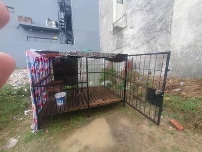 8 by 6 cage brand new