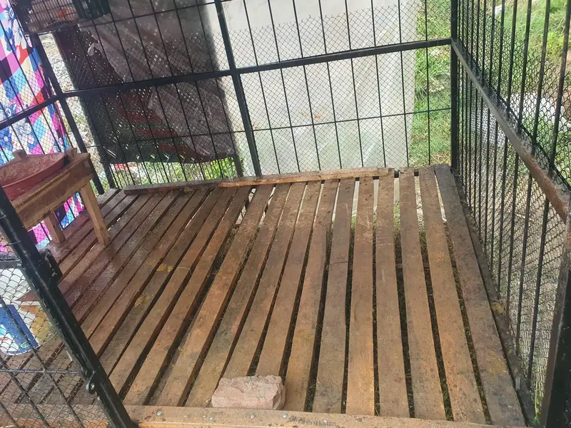 8 by 6 cage brand new — photo 3