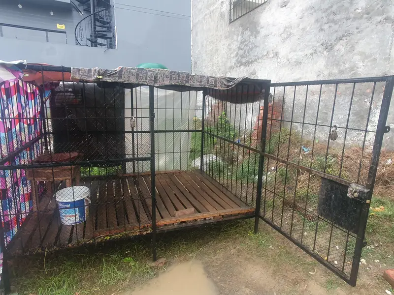 8 by 6 cage brand new — photo 4