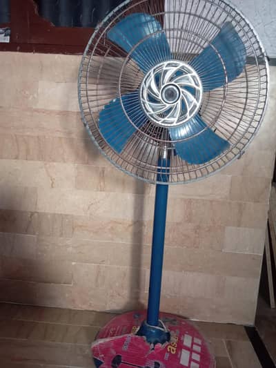 pak fans