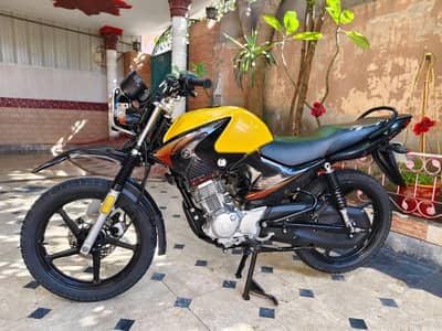 Yamaha Ybr G 2025 Brand New Bike