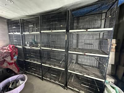 Birds Cage Full Angel