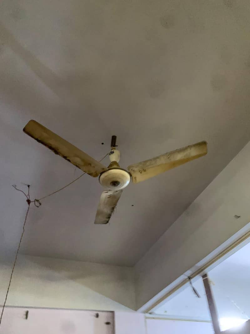 Ceiling Fan 0
