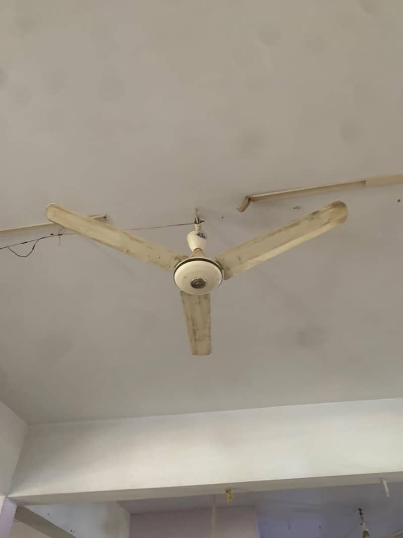 Ceiling Fan 1